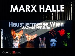 Haustiermesse Wien MARXER HALLE 3.03.2024